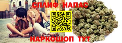 шишки Рыбинск