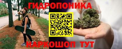 шишки Рыбинск