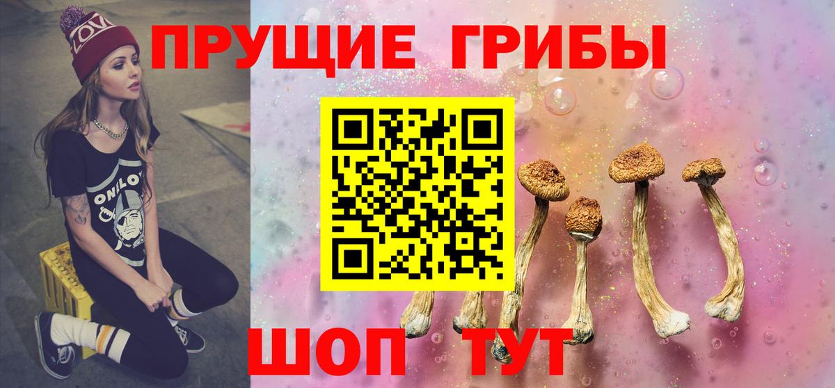 Галлюциногенные грибы Psilocybine cubensis  Вход с VPN  Сосновоборск  Псилоцибиновые грибы прущие грибы 